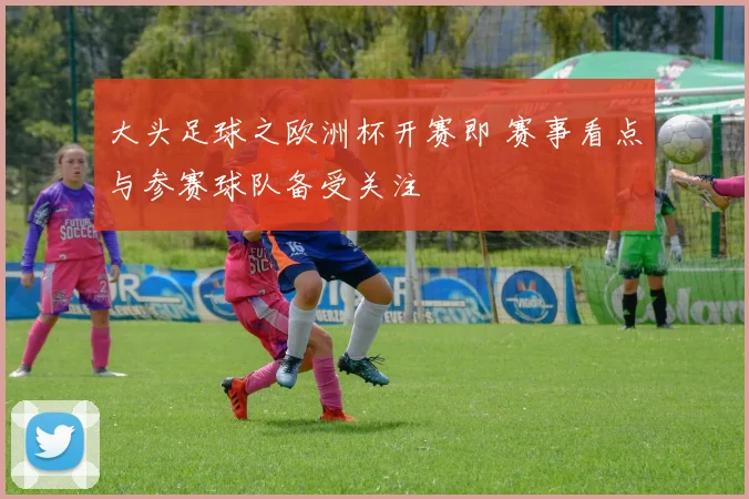 大头足球之欧洲杯开赛即 赛事看点与参赛球队备受关注