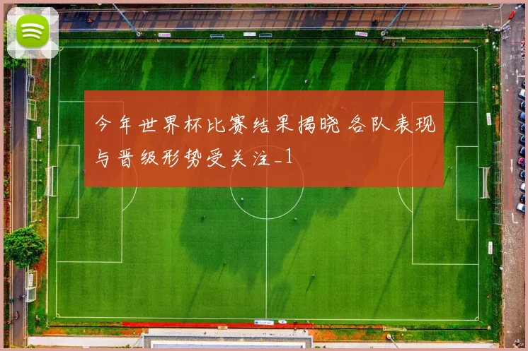 今年世界杯比赛结果揭晓 各队表现与晋级形势受关注_1