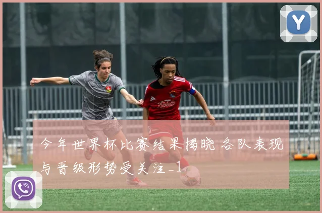 今年世界杯比赛结果揭晓 各队表现与晋级形势受关注_1