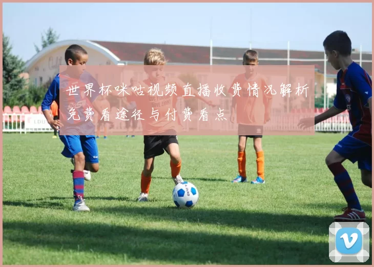 世界杯咪咕视频直播收费情况解析免费看途径与付费看点