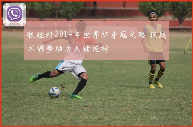 张继科2014年世界杯夺冠之路 技战术调整助力关键逆转