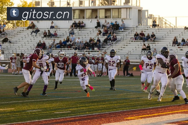 多媒体互动体验